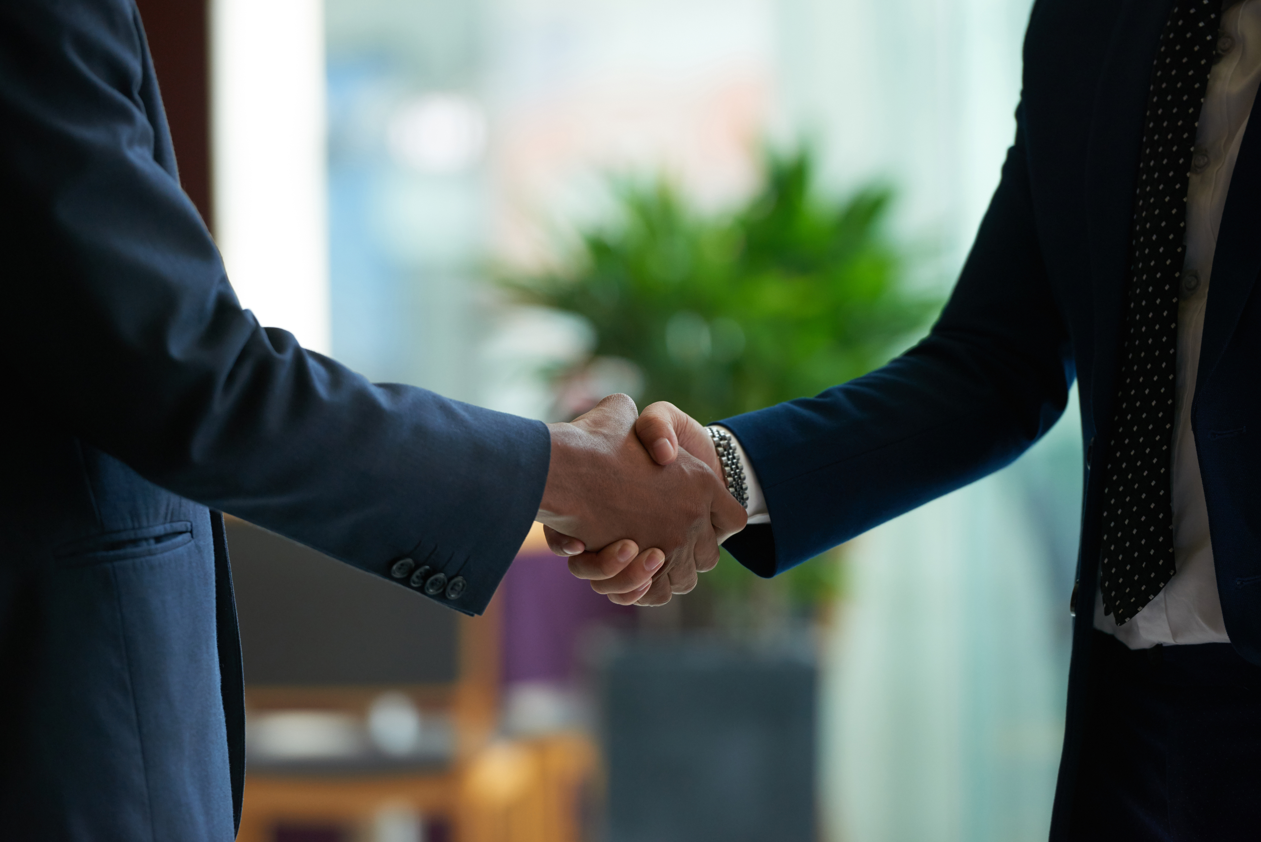 Two people shaking hands on a deal